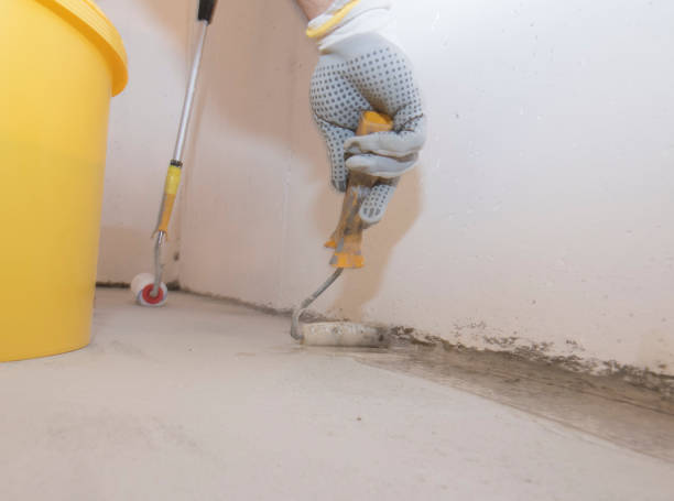 Best Termite Inspection and Treatment  in Kenneth City, FL